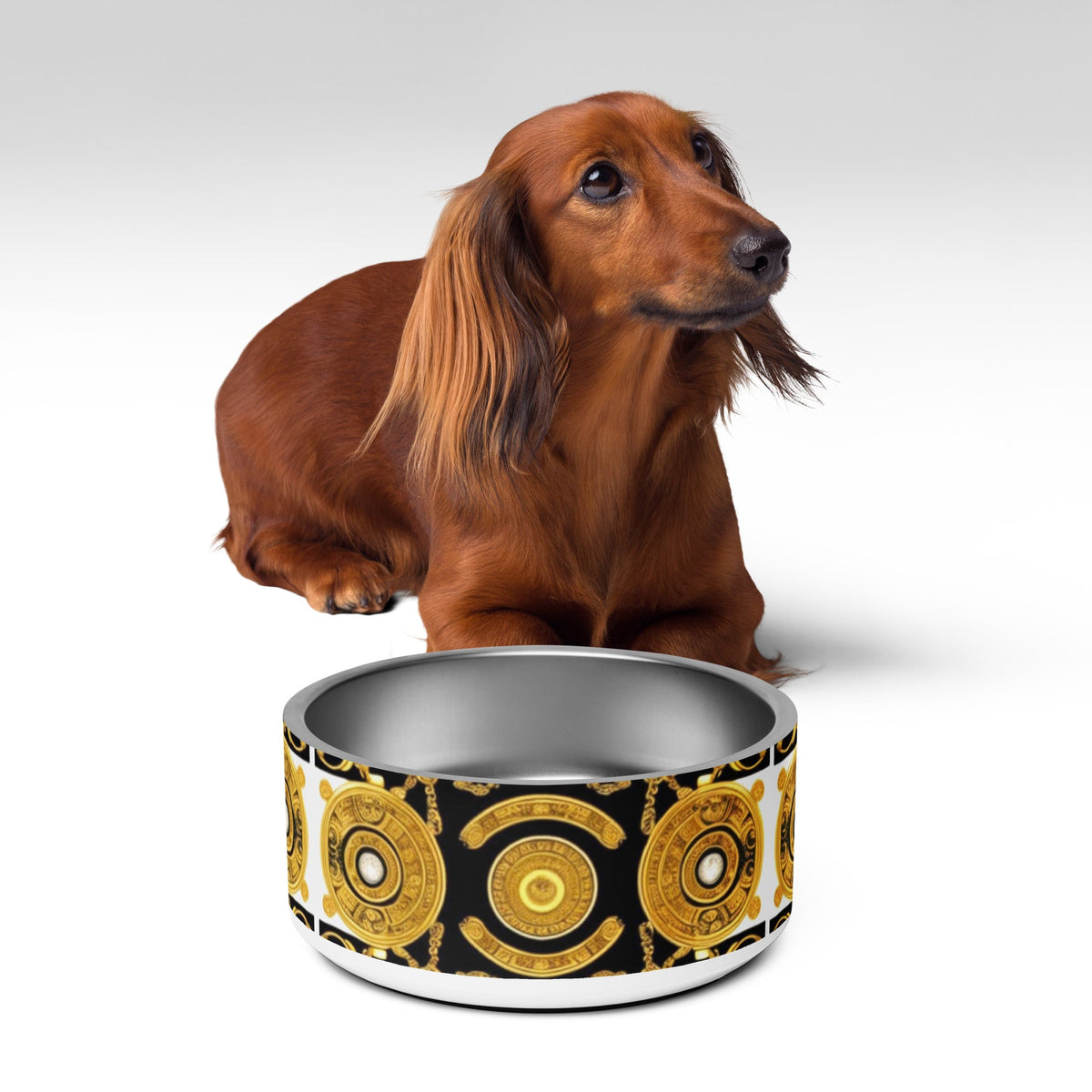 Front Gold & Black Coin Signature Scarf Design Stainless Pet Bowl #MzKittyz #NikkiDKatArt